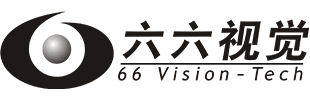 66 Vision partner logo